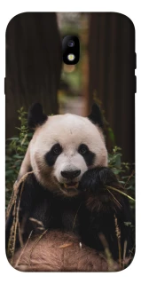 Чохол на Samsung J730 Galaxy J7 (2017) Панда фото 1 з 1