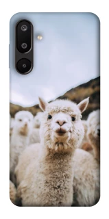 Чохол на Samsung Galaxy M16 5G Лама фото 1 з 1