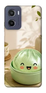 Чохол на Motorola Moto G05 Dumpling ver.3 фото 1 з 1