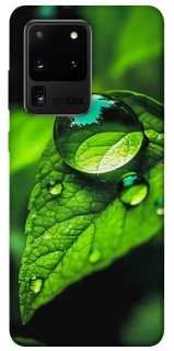 Чохол на Samsung Galaxy S20 Ultra Flowers v16 фото 1 з 1