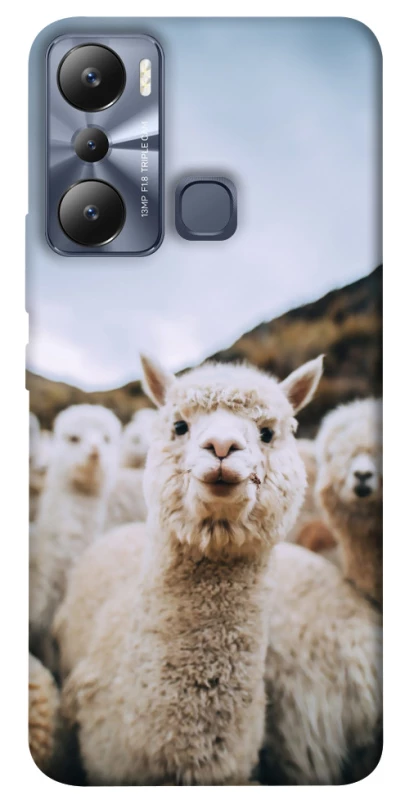 Чохол на Infinix Hot 20i Лама фото 1 з 1
