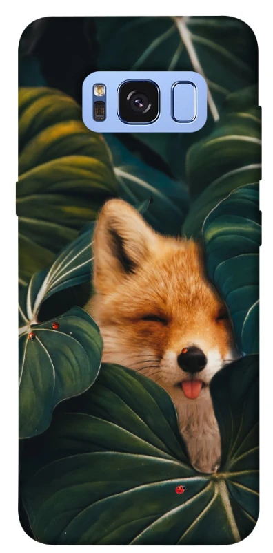Чохол на Samsung G950 Galaxy S8 Fox фото 1 з 1