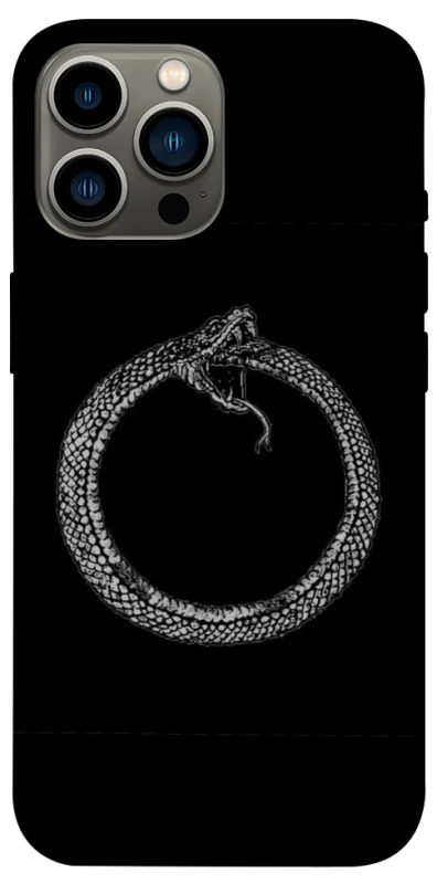 Чохол на Apple iPhone 13 Pro Max (6.7") Ouroboros фото 1 з 1
