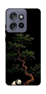 Чохол на Motorola Edge 50 Neo Panda and tree фото 1 з 1