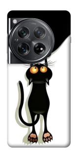 Чохол на OnePlus 12 But it's not white фото 1 з 1