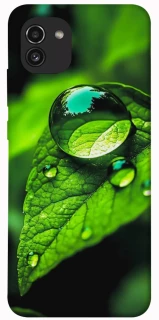 Чохол на Samsung Galaxy A03 Flowers v16 фото 1 з 1