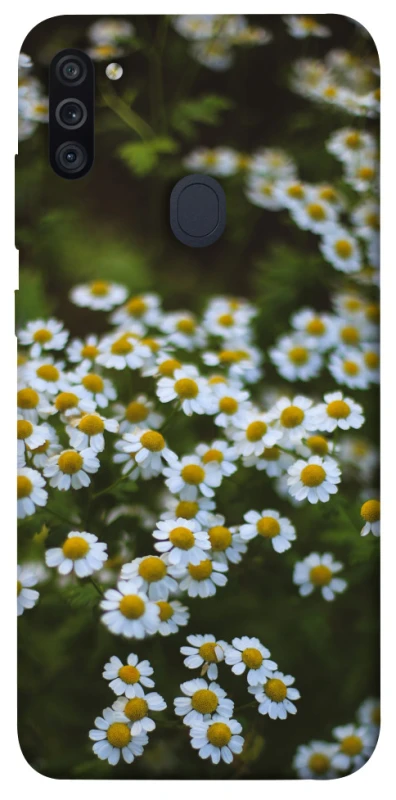 Чехол на Samsung Galaxy M11 Ромашки v13 фото 1 из 1