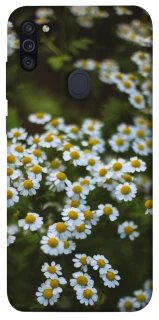 Чехол на Samsung Galaxy M11 Ромашки v13 фото 1 из 1