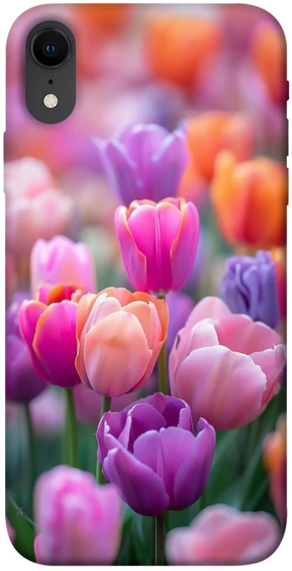 Чохол на Apple iPhone XR (6.1") Тюльпанове поле фото 1 з 1