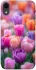 Чохол на Apple iPhone XR (6.1") Тюльпанове поле фото 1 з 1