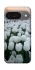 Чехол на Google Pixel 10 Flowers v1 фото 1 Чехол на Google Pixel 10 Flowers v1 фото 1 из 1
