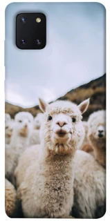 Чохол на Samsung Galaxy Note 10 Lite (A81) Лама фото 1 з 1