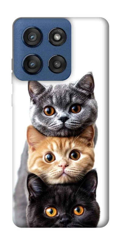 Чохол на Motorola Edge 60 Stylus Гарні котики фото 1 з 1