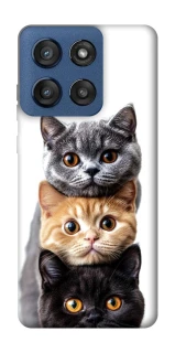Чохол на Motorola Edge 60 Stylus Гарні котики фото 1 з 1