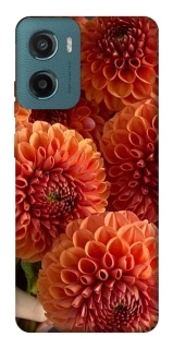 Чехол на Motorola Moto G06 Flower1 фото 1 из 1