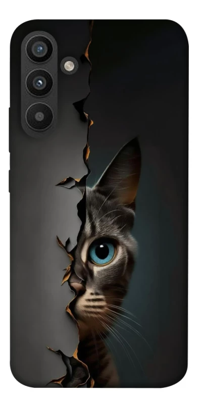 Чохол на Samsung Galaxy A34 5G Кіт-підглядач v2 фото 1 з 1