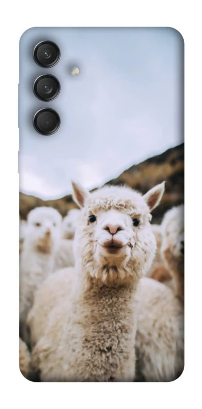 Чохол на Samsung Galaxy M55 Лама фото 1 з 1