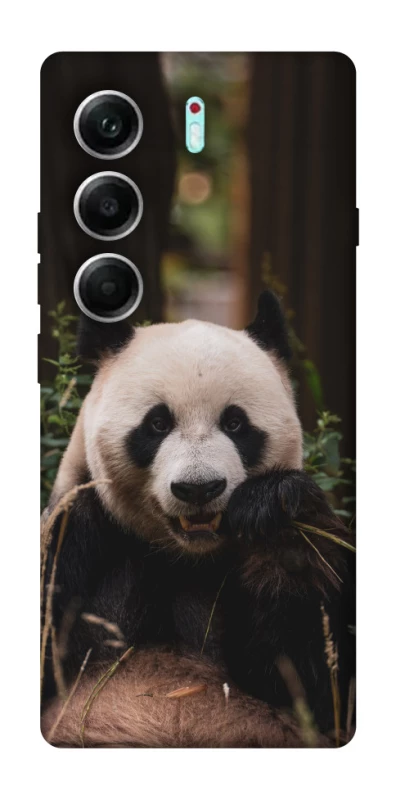 Чехол на Tecno Camon 40 Pro Панда фото 1 из 1