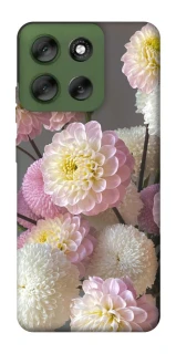 Чохол на Motorola Moto G56 5G Flowers v2 фото 1 з 1
