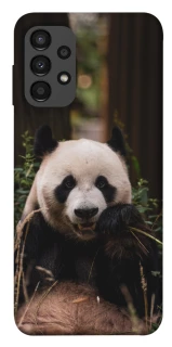 Чохол на Samsung Galaxy A13 4G Панда фото 1 з 1