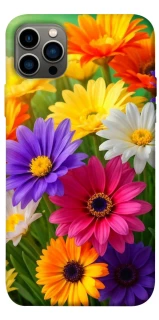 Чехол на Apple iPhone 12 Pro (6.1") Flowers v32 фото 1 из 1