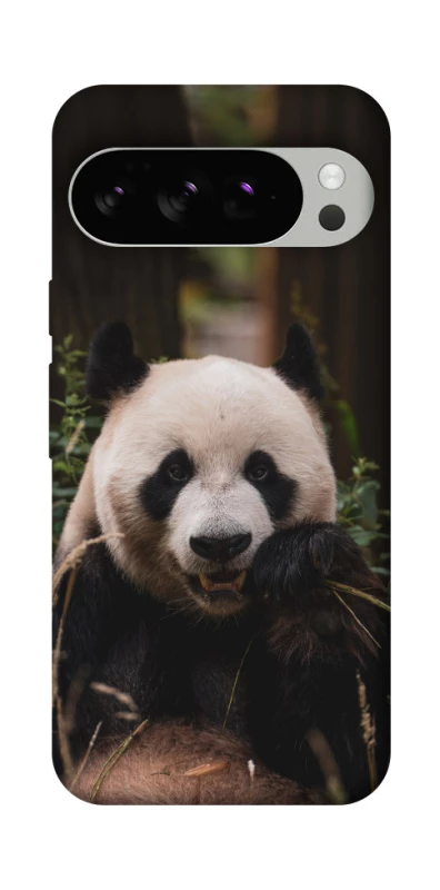 Чехол на Google Pixel 10 Pro Панда фото 1 из 1