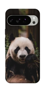 Чехол на Google Pixel 10 Pro Панда фото 1 из 1