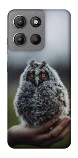 Чехол на Motorola Moto G15 4G Совёнок фото 1 из 1