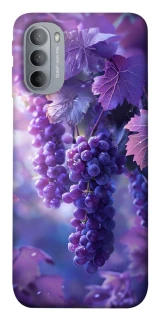 Чохол на Motorola Moto G31 Bunch of grapes фото 1 з 1