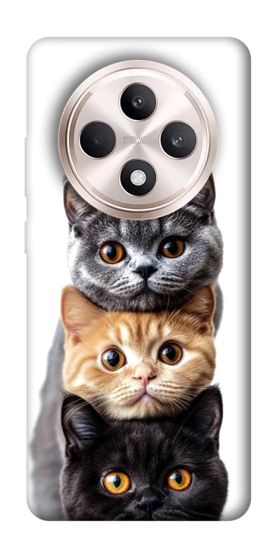 Чехол на Oppo Reno 12 F 4G/5G Красивые котики фото 1 из 1