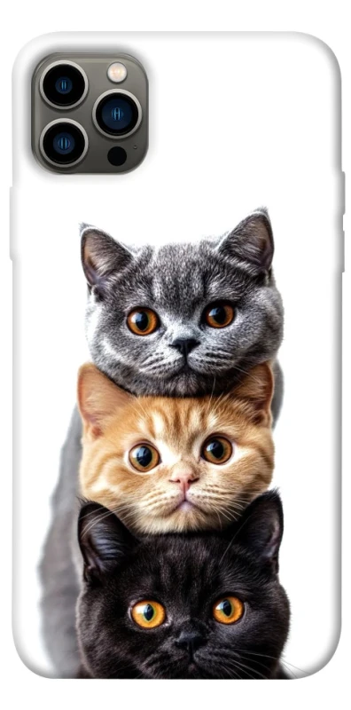 Чехол на Apple iPhone 12 Pro (6.1") Красивые котики фото 1 из 1