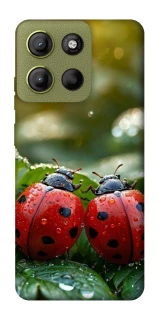 Чохол на Motorola Moto G15 4G Flowers v23 фото 1 з 1