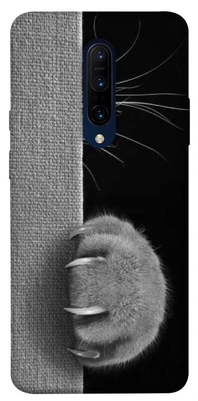 Чохол на OnePlus 7 Pro Spy Cat фото 1 з 1