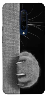 Чохол на OnePlus 7 Pro Spy Cat фото 1 з 1
