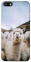 Чохол на Apple iPhone 5/5S/SE Лама фото 1 з 1
