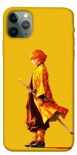 Чехол на Apple iPhone 11 Pro Max (6.5") Agatsuma Zenitsu фото 1 из 1