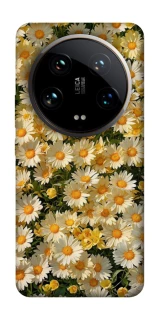 Чохол на Xiaomi 14 Ultra Camomile фото 1 з 1