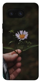 Чехол на Google Pixel 8 Ромашка v4 фото 1 из 1