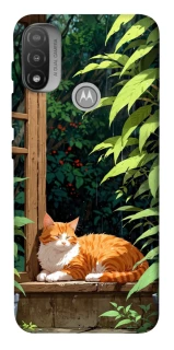 Чохол на Motorola Moto E20 red cat фото 1 з 1