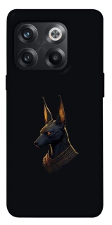 Чохол на OnePlus 10T Anubis фото 1 з 1
