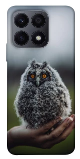 Чохол на Huawei Honor X8a Совеня фото 1 з 1