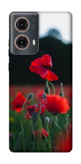 Чохол на Motorola Moto G85 Мак фото 1 з 1