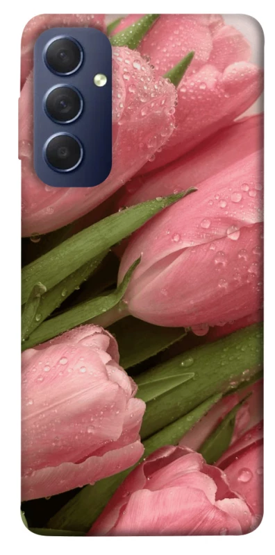 Чохол на Samsung Galaxy M54 5G Beauty фото 1 з 1