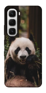 Чехол на Infinix Hot 60i Панда фото 1 из 1