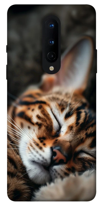 Чехол на OnePlus 8 Cat paws фото 1 из 1