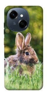 Чехол на TECNO Spark Go 1 Кролики фото 1 из 1