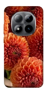 Чехол на Xiaomi Redmi Note 15 Pro 5G Flower1 фото 1 из 1