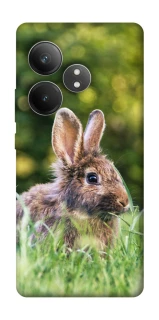 Чехол на Realme GT Neo 6 SE Кролики фото 1 из 1