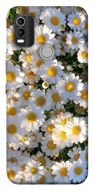 Чохол на Nokia C21 Plus Поле ромашок фото 1 з 1