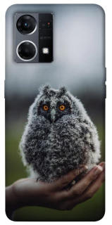 Чохол на Oppo Reno 7 4G Совеня фото 1 з 1